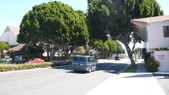 Enlarge photo 55
