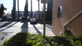 Enlarge photo 39