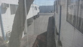 Enlarge photo 69