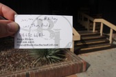 Enlarge photo 49