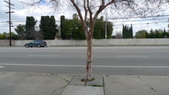 Enlarge photo 34