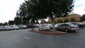 Enlarge photo 35