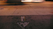 Enlarge photo 54