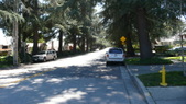 Enlarge photo 126