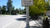 Enlarge photo 134