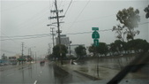 Enlarge photo 61