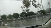 Enlarge photo 62
