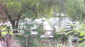 Enlarge photo 75