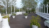 Enlarge photo 76