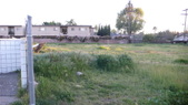 Enlarge photo 47