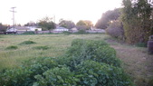 Enlarge photo 48