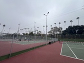 Enlarge photo 46