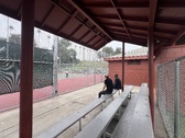 Enlarge photo 56