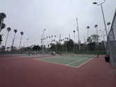 Enlarge photo 58