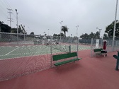 Enlarge photo 79