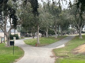 Enlarge photo 127