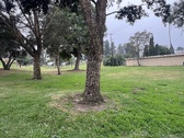 Enlarge photo 134