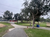 Enlarge photo 135