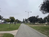 Enlarge photo 136