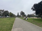 Enlarge photo 137