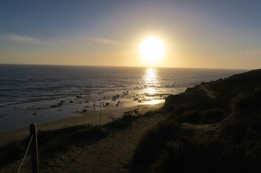 Pelican Point ~ File Pull