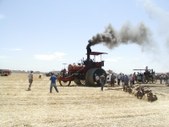 Enlarge photo 19