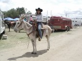 Enlarge photo 24