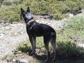 Enlarge photo 16