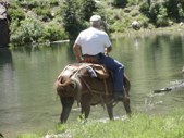 Enlarge photo 20