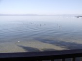 Clear Lake 2008