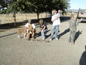Dove Hunt 9/1/05
