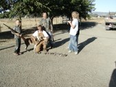 Enlarge photo 3