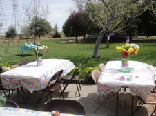 Enlarge photo 11