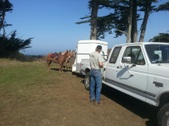 Elk Hunt, Point Reyes National Seashore