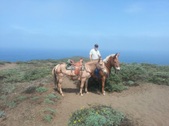 Enlarge photo 17