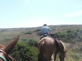Enlarge photo 24