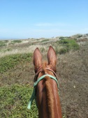 Enlarge photo 23