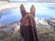 Folsom Lake Ride, November 3, 2012