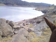 Enlarge photo 2