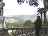 Enlarge photo 17