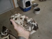 Enlarge photo 3