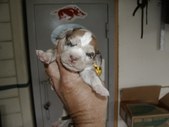 Enlarge photo 5