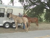 Mt. Diablo 5/28/05