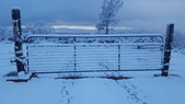 Enlarge photo 22