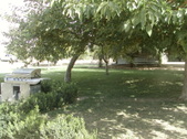Enlarge photo 24