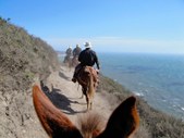 Point Reyes