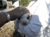 Enlarge photo 6
