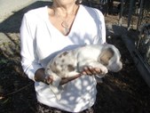 Enlarge photo 7