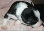 Enlarge photo 3