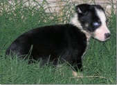 Enlarge photo 16